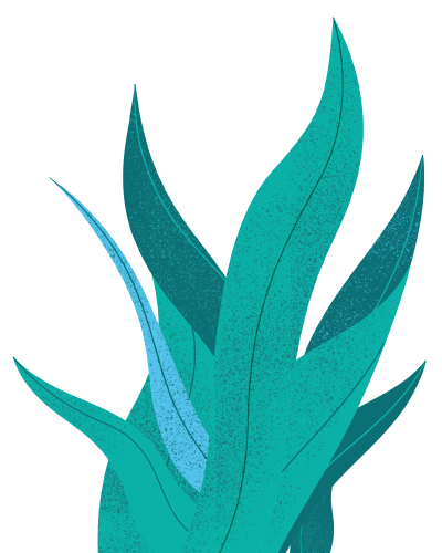 image-droite-400×500